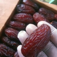 Dates