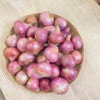 পেয়াজ ১ কেজি ৪৮ টাকা